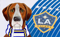 RLA Galaxy News Hound